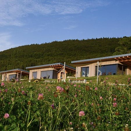 An Webers Stoag Villa Geisingen Dış mekan fotoğraf