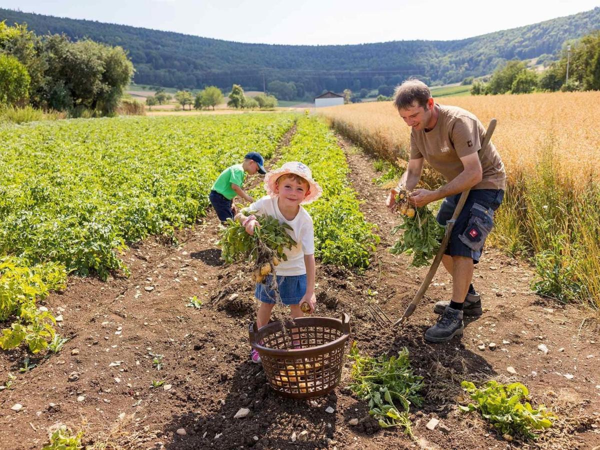 An Webers Stoag Villa Geisingen Dış mekan fotoğraf