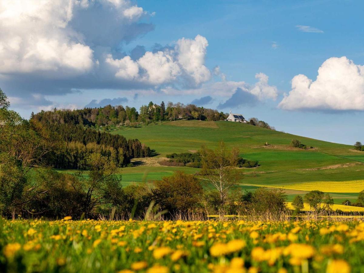 An Webers Stoag Villa Geisingen Dış mekan fotoğraf