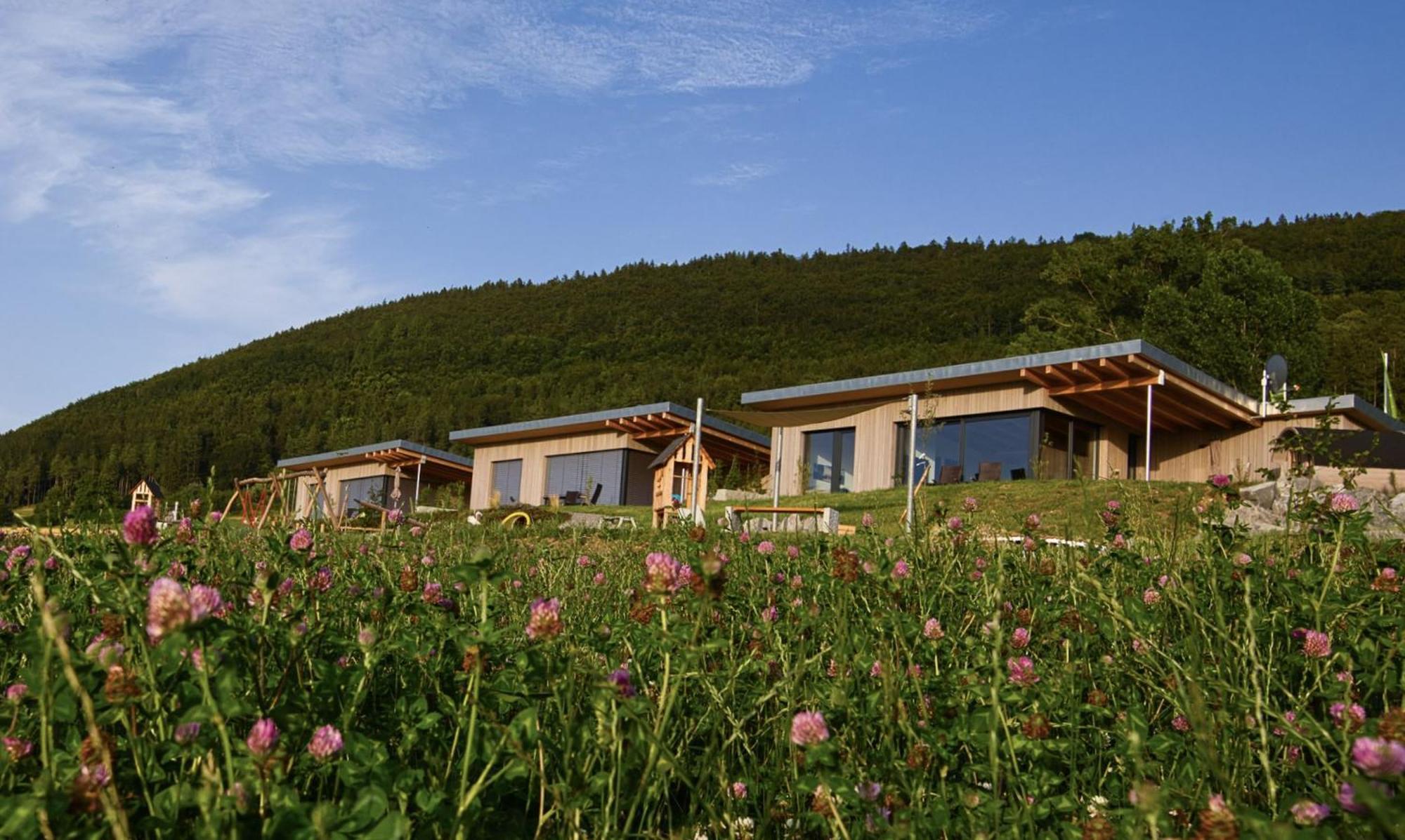 An Webers Stoag Villa Geisingen Dış mekan fotoğraf
